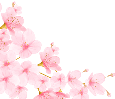 桜 背景