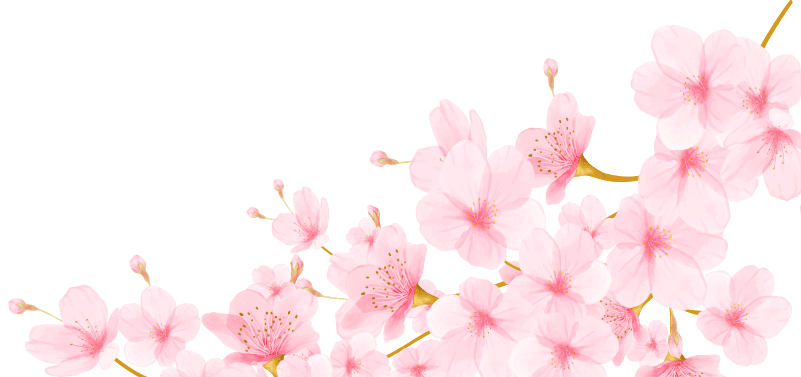 桜 背景